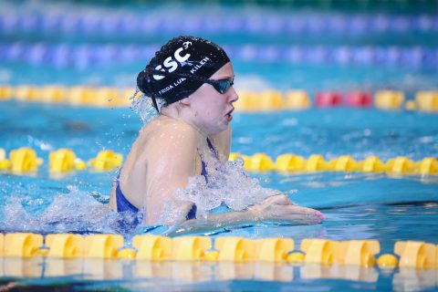 Swimming - Danish Open 2026