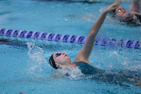 Swimming - Danish Open 2026