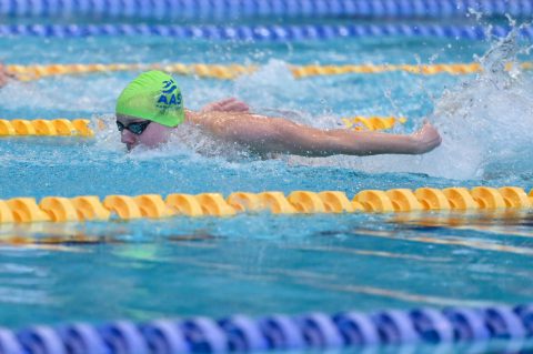 Swimming - Danish Open 2026