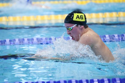 Swimming - Danish Open 2026