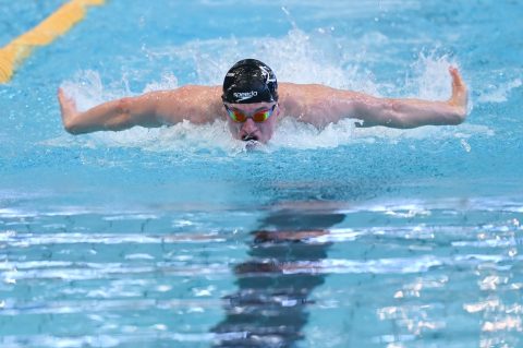 Swimming - Danish Open 2026