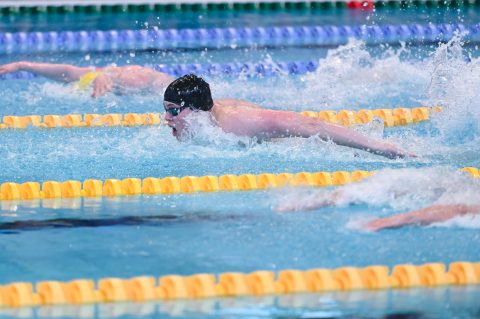 Swimming - Danish Open 2026