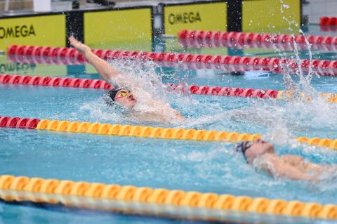 Swimming - Danish Open 2026