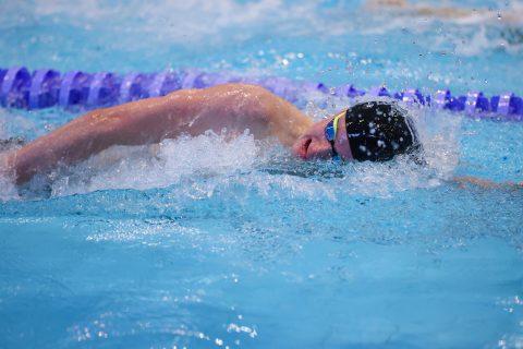 Swimming - Danish Open 2026