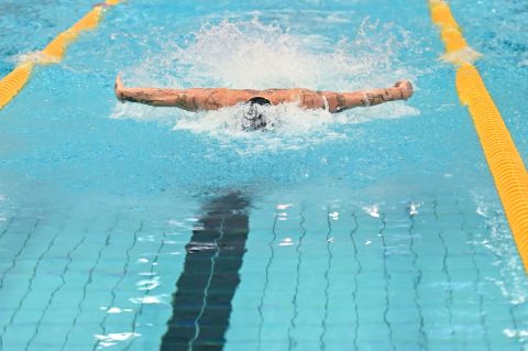 Swimming - Danish Open 2026