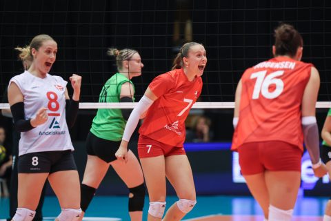 Lithuania - Denmark - European League