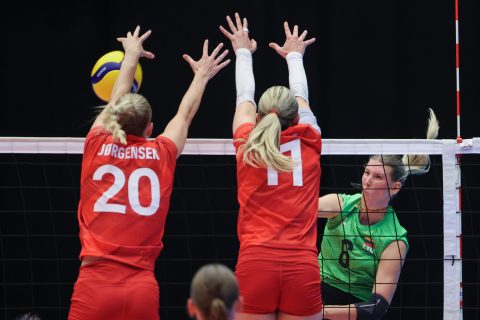 Lithuania - Denmark - European League
